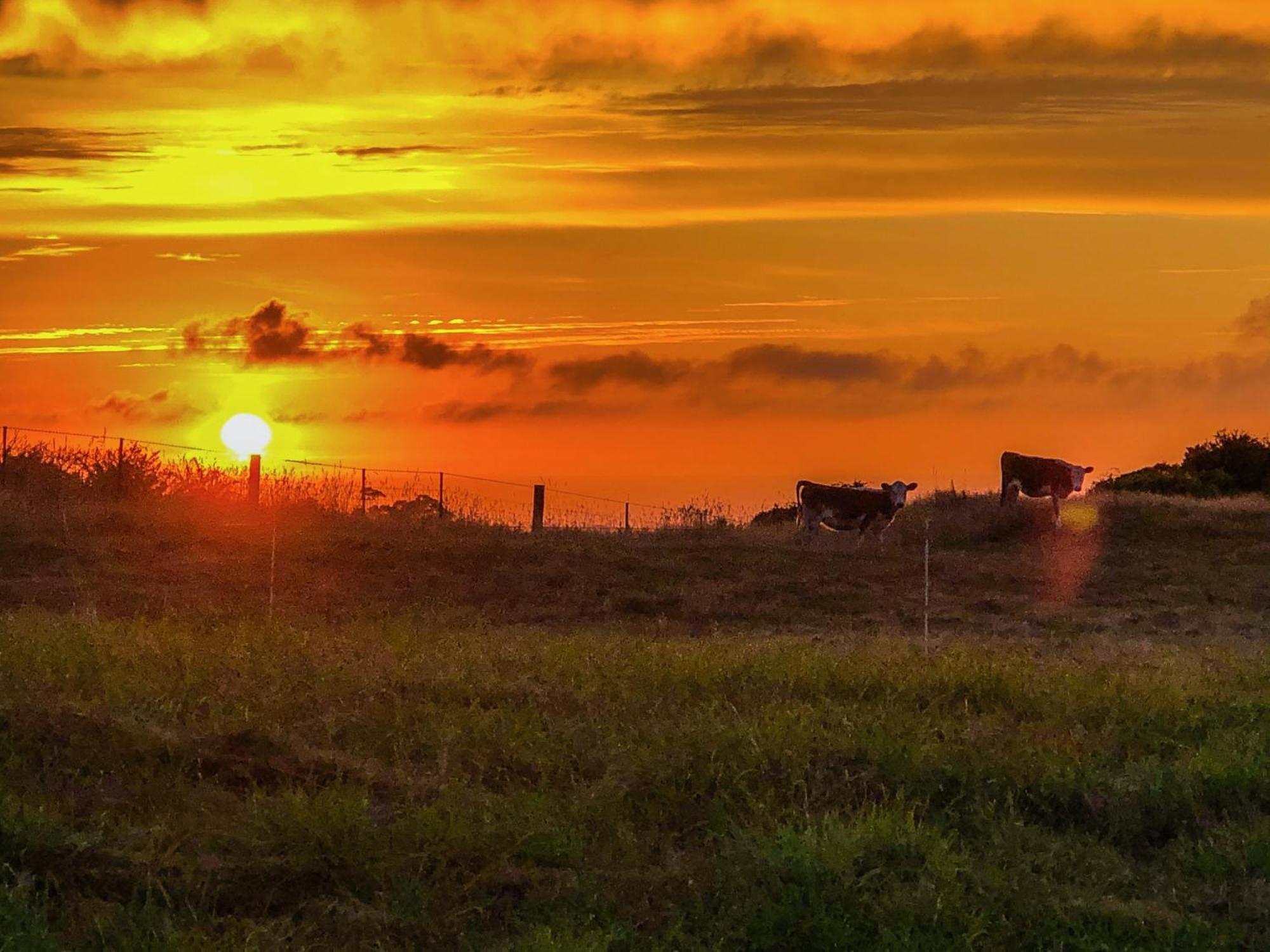 White Caps Kaikoura Farmstay Екстер'єр фото